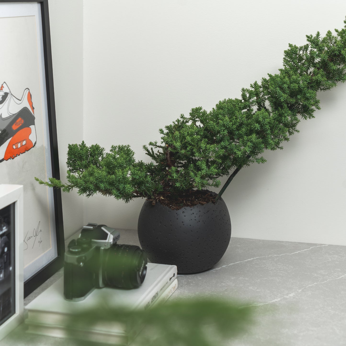 Moon Round Resin Planter