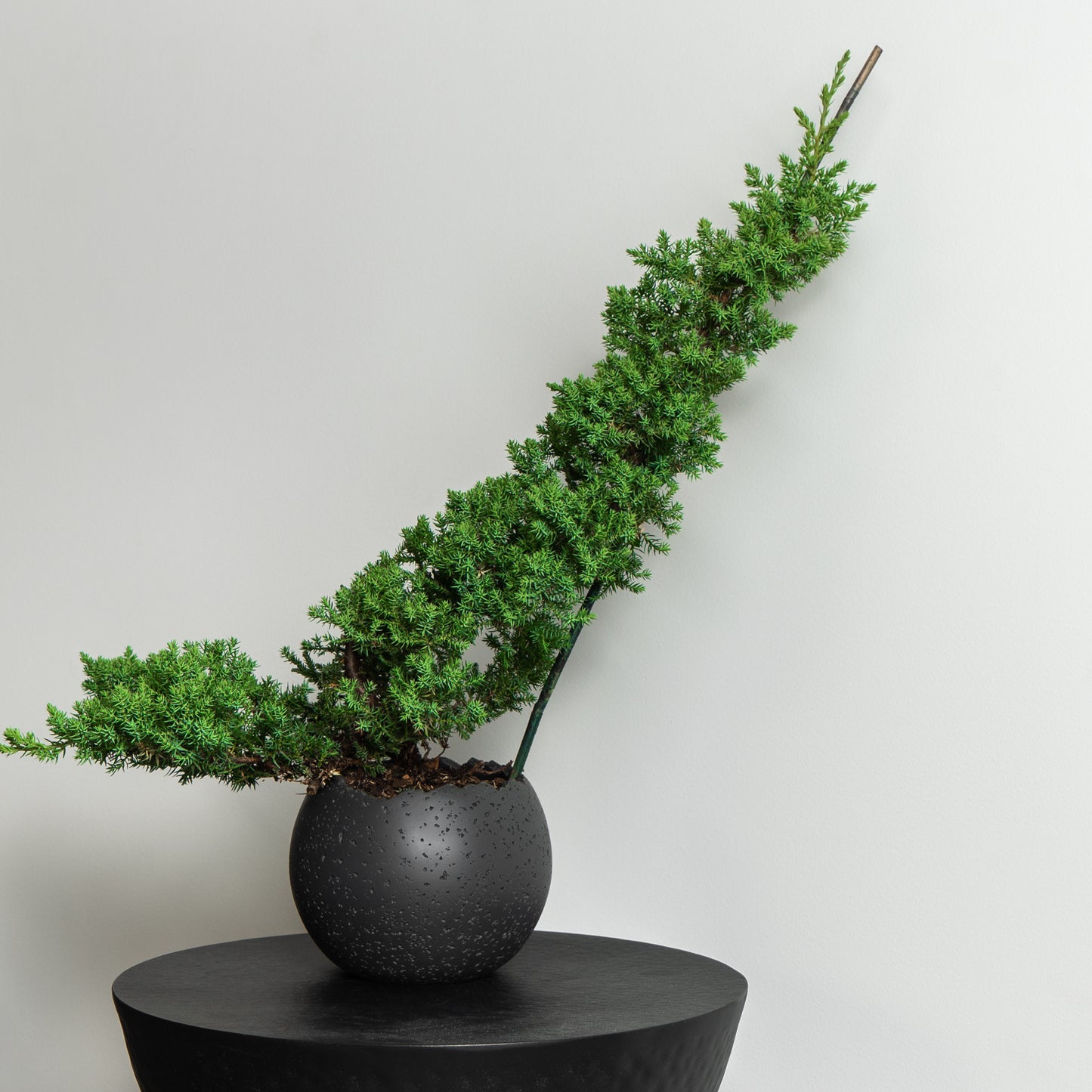 Moon Round Resin Planter