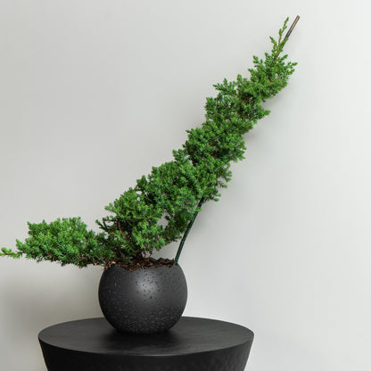 Moon Round Resin Planter